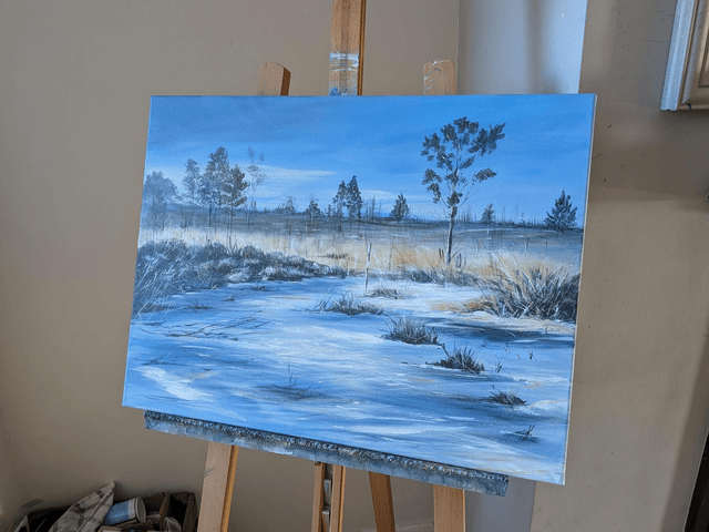 Winter on Thursley Common 