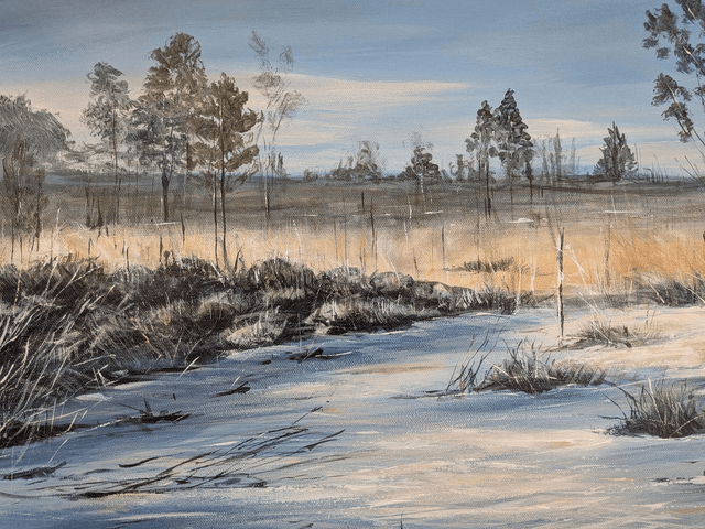 Winter on Thursley Common 