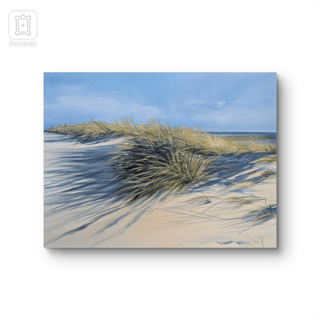 Dune grasses 

