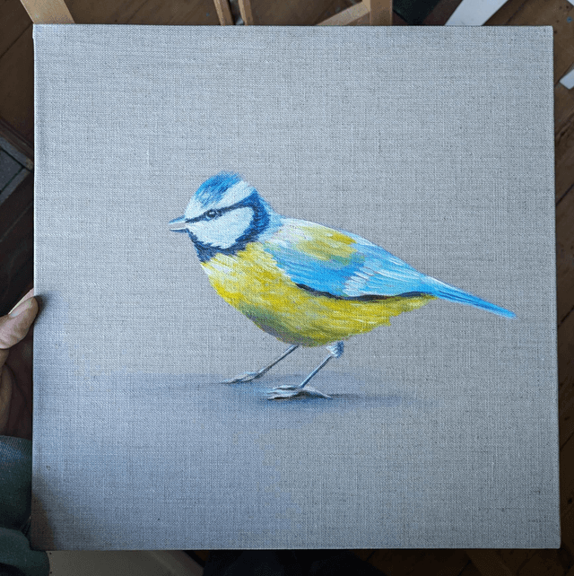 Blue tit