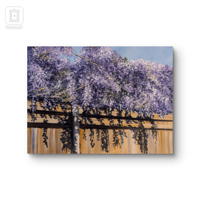 Wisteria over the garden fence