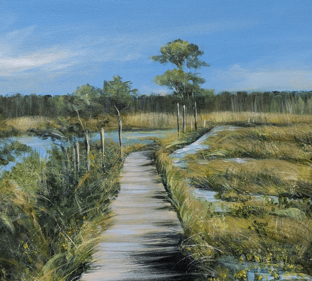 Thursley boardwalk 