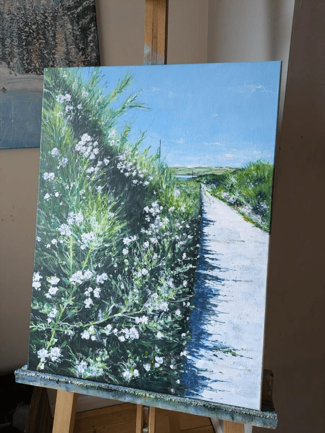 Wildflower Path to Daymer Bay, Trebetherick, Cornwall