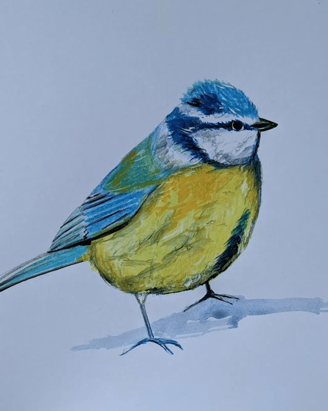 Robin and Blue Tit 