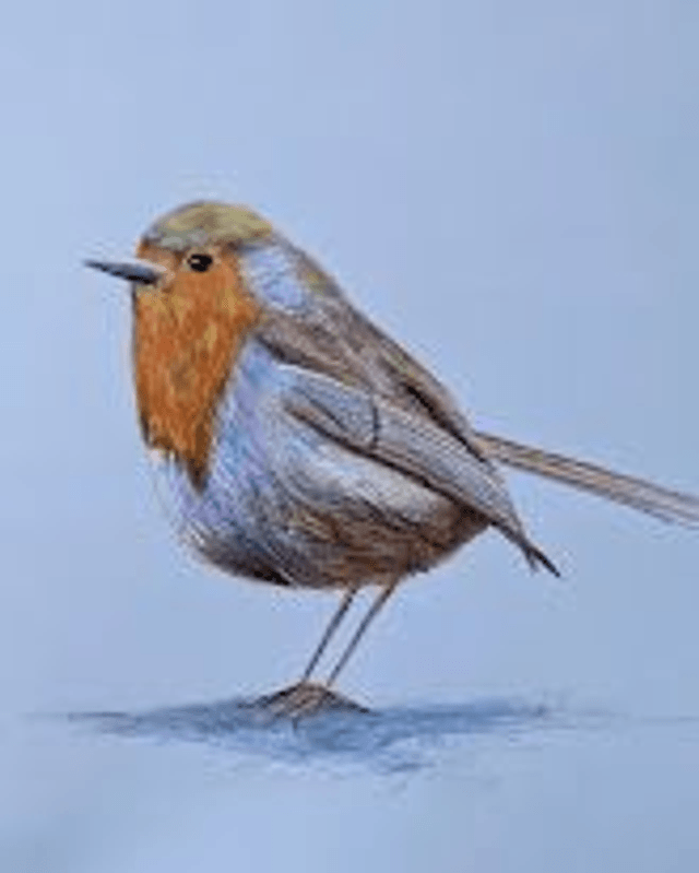 Robin and Blue Tit 