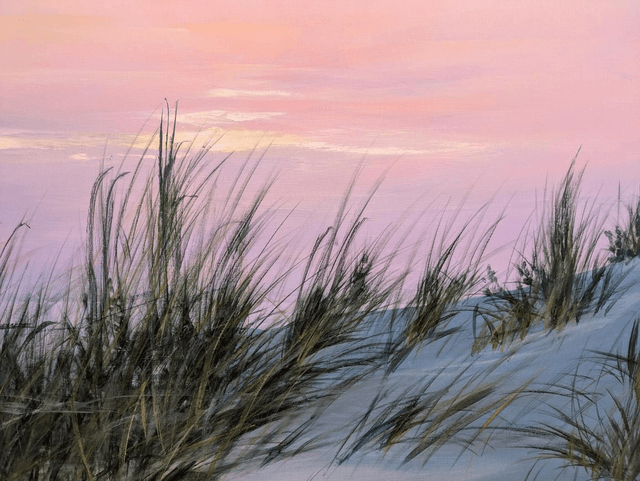 Night fall on the dunes
