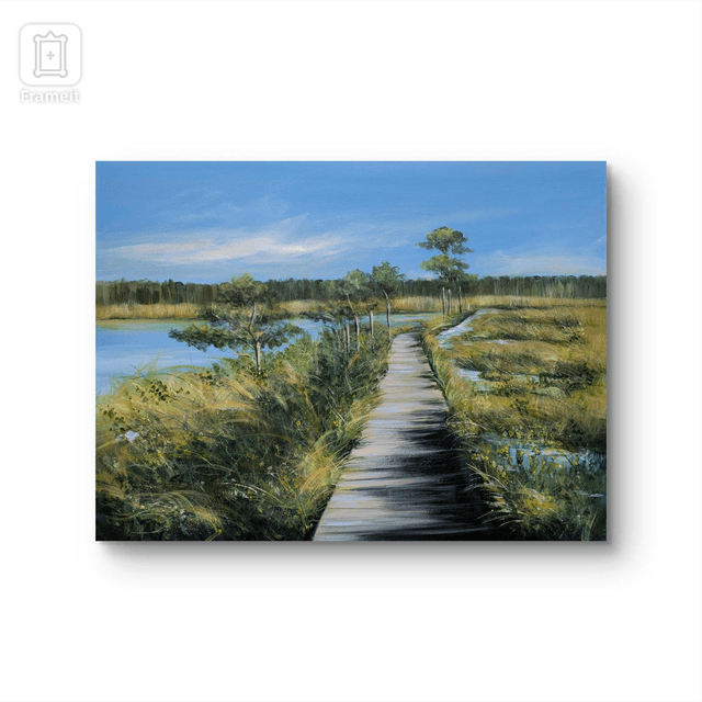 Thursley boardwalk 