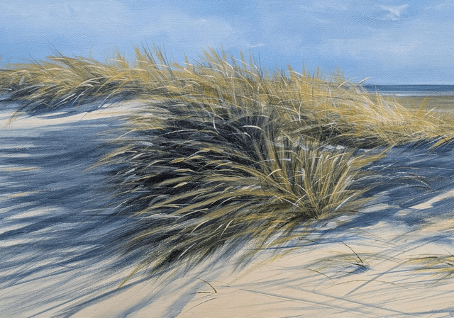 Dune grasses 

