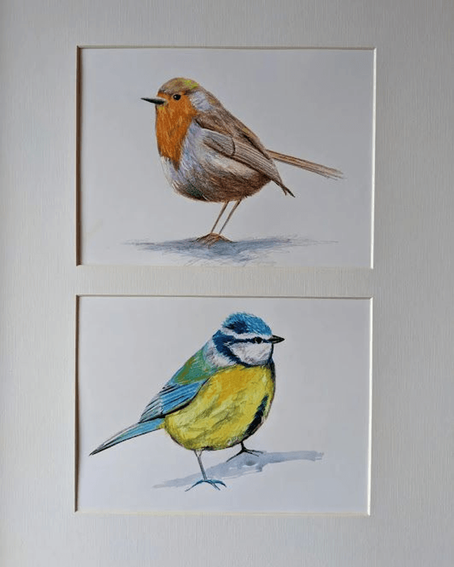 Robin and Blue Tit 