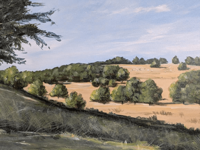 Petworth deer park