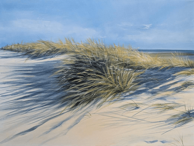 Dune grasses 


