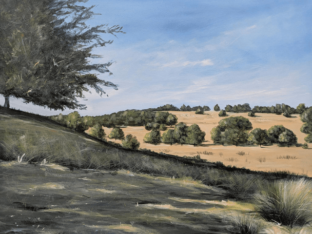 Petworth deer park