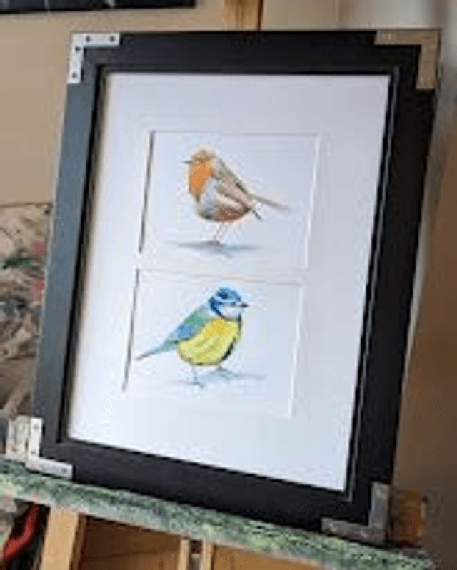 Robin and Blue Tit 