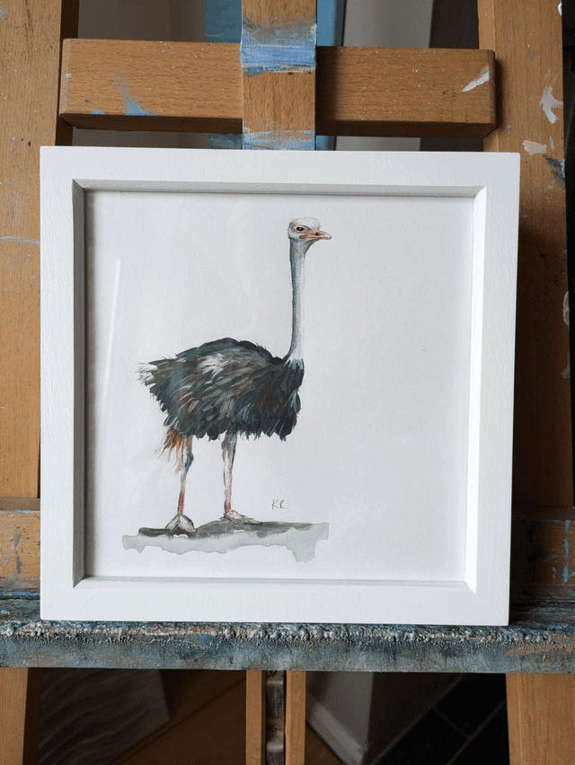 Ostrich 