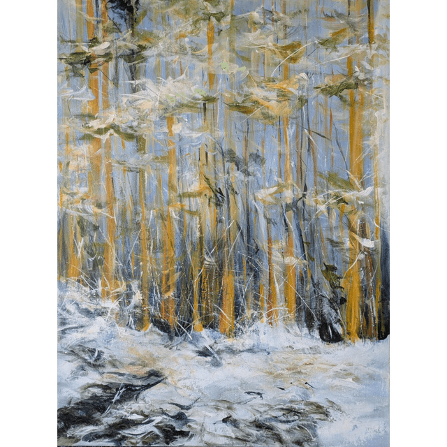 Soft winter light
