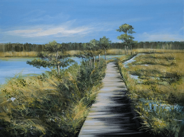 Thursley boardwalk 